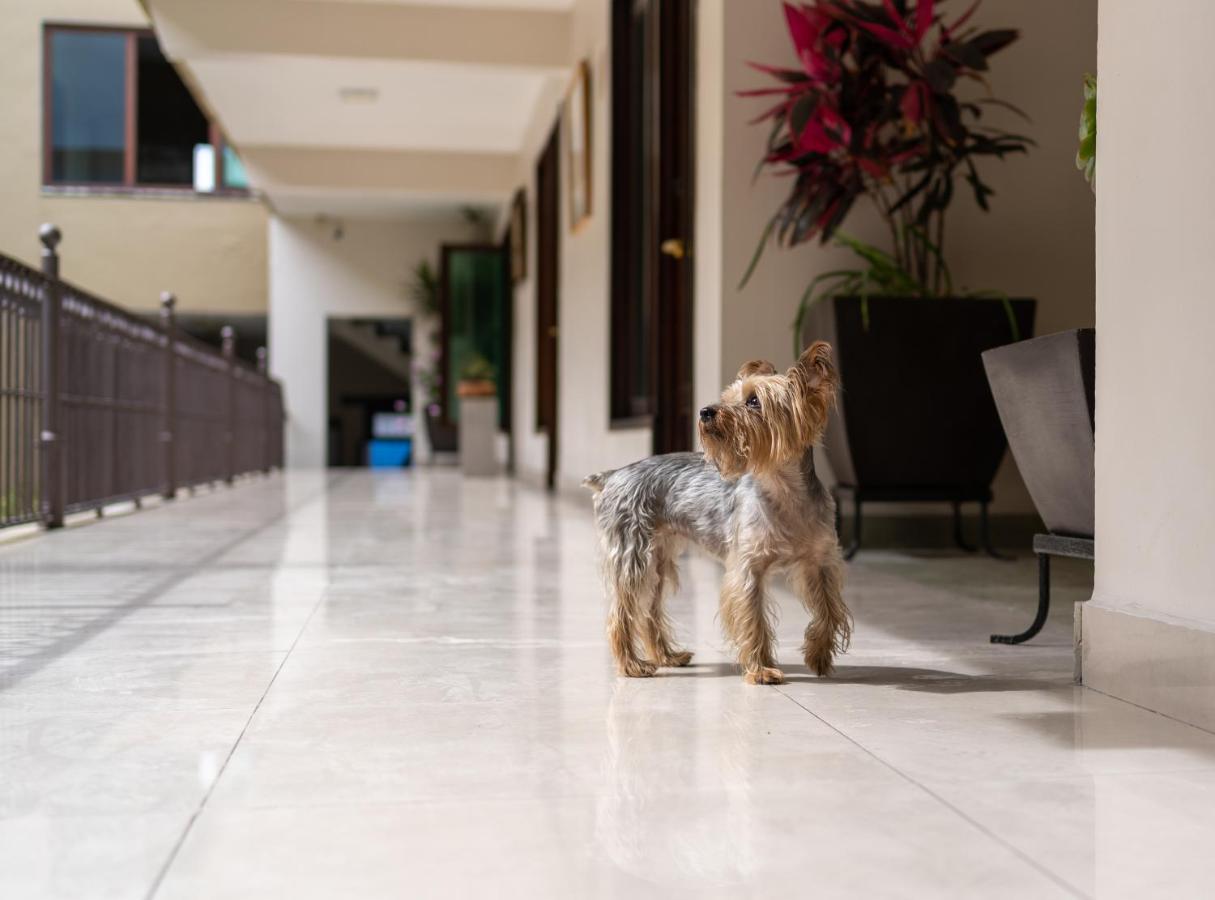 Casa De Las Flores Hotel Oaxaca Εξωτερικό φωτογραφία