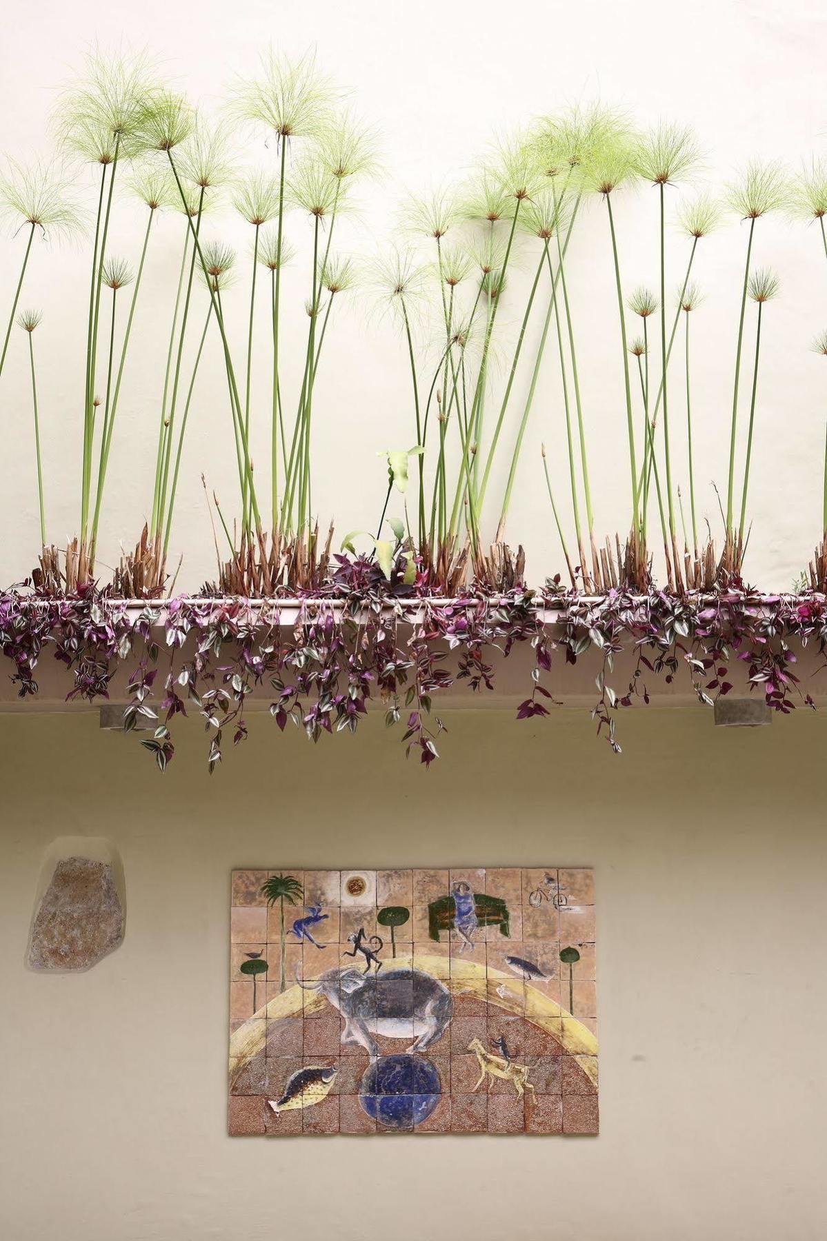 Casa De Las Flores Hotel Oaxaca Εξωτερικό φωτογραφία